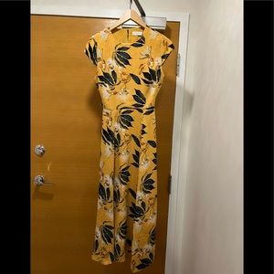 Aritzia Hampton Printed Dress